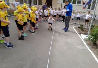 img (10)